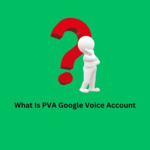 PVA Google Voice Account