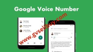 buy google voice pva account